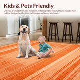 Ultra Soft Area Rug, Non Slip, Stain Resistant, Washable Area Rugs for Living Room, Bedroom, Warm Earthy Terracotta Shag(Orange)