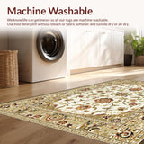 Ultra Soft Area Rug, Non Slip, Stain Resistant, Washable Area Rugs for Living Room, Bedroom, Trendy Nature-Inspired Floral Aesthetic(Beige)