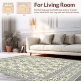 Ultra Soft Area Rug, Non Slip, Stain Resistant, Washable Area Rugs for Living Room, Bedroom, & Non Shedding Grey Beige(Beige)