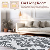 Ultra Soft Area Rug, Non Slip, Stain Resistant, Washable Area Rugs for Living Room, Bedroom, Versatile Indoor Outdoor Rug for Minimalist Patio(Black)
