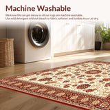 Ultra Soft Area Rug, Non Slip, Stain Resistant, Washable Area Rugs for Living Room, Bedroom, Desert Oasis Animal Print Terracotta Beige Brown Cream(Ivory)