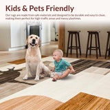 Ultra Soft Area Rug, Non Slip, Stain Resistant, Washable Area Rugs for Living Room, Bedroom, Luxurious Fluffy Neutral Aesthetic(Beige)