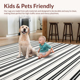Ultra Soft Area Rug, Non Slip, Stain Resistant, Washable Area Rugs for Living Room, Bedroom, Elegant Zebra Inspired Contrast Rug with Modern Horizontal Line Pattern(Black)