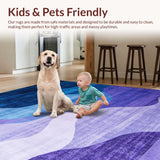 Ultra Soft Area Rug, Non Slip, Stain Resistant, Washable Area Rugs for Living Room, Bedroom, Elegant Modern Watercolor Swirl(Blue)