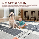 Ultra Soft Area Rug, Non Slip, Stain Resistant, Washable Area Rugs for Living Room, Bedroom, Contemporary Abstract Monochrome Aesthetic(Gray)