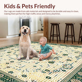 Ultra Soft Area Rug, Non Slip, Stain Resistant, Washable Area Rugs for Living Room, Bedroom, Super Shag Beige and Green(Ivory)