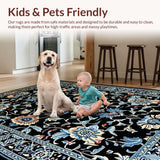 Ultra Soft Area Rug, Non Slip, Stain Resistant, Washable Area Rugs for Living Room, Bedroom, Sophisticated Modern Trellis Design(Black)