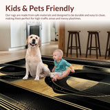 Ultra Soft Area Rug, Non Slip, Stain Resistant, Washable Area Rugs for Living Room, Bedroom, Vivid Abstract Expressionist Palette(Gold)