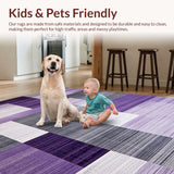 Ultra Soft Area Rug, Non Slip, Stain Resistant, Washable Area Rugs for Living Room, Bedroom, Rustic Purple Grey Blend(Purple)