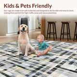 Ultra Soft Area Rug, Non Slip, Stain Resistant, Washable Area Rugs for Living Room, Bedroom, Modern Checkered Carpet With Artistic Flair For Contemporary Spaces(Black)