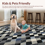 Ultra Soft Area Rug, Non Slip, Stain Resistant, Washable Area Rugs for Living Room, Bedroom, Minimalist Geometric Black and White Motif(Gray)