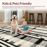 Ultra Soft Area Rug, Non Slip, Stain Resistant, Washable Area Rugs for Living Room, Bedroom, Contemporary Porch Stripe Rug with Sleek Lines and Eye-Catching Contrast Pattern(Gray)
