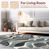 Ultra Soft Area Rug, Non Slip, Stain Resistant, Washable Area Rugs for Living Room, Bedroom, Elegant Black and White Linear Wave Striped Rug with Fluid Rhythm(Gray)