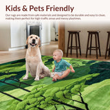 Ultra Soft Area Rug, Non Slip, Stain Resistant, Washable Area Rugs for Living Room, Bedroom, Serene Nature-Inspired Visual Appeal(Green)