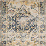 Ultra Soft Area Rug, Non Slip, Stain Resistant, Washable Area Rugs for Living Room, Bedroom, Rustic Abstract Distressed Aesthetic(Beige)