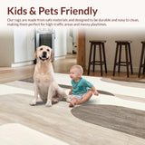 Ultra Soft Area Rug, Non Slip, Stain Resistant, Washable Area Rugs for Living Room, Bedroom, Beige Floor Non Slip Abstract Art for Modern Home Decor(Gray)