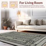 Ultra Soft Area Rug, Non Slip, Stain Resistant, Washable Area Rugs for Living Room, Bedroom, Rustic Natural Tiled Aesthetic(Black)