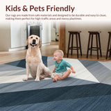 Ultra Soft Area Rug, Non Slip, Stain Resistant, Washable Area Rugs for Living Room, Bedroom, Stylish Subtle Ombre Design(Gray)