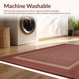 Ultra Soft Area Rug, Non Slip, Stain Resistant, Washable Area Rugs for Living Room, Bedroom, Reversible Country Bathroom Rug for Rustic Decor(Beige)
