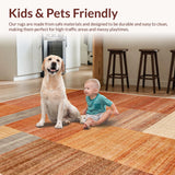 Ultra Soft Area Rug, Non Slip, Stain Resistant, Washable Area Rugs for Living Room, Bedroom, Solid Terracotta Shag Rug for Living Room(Brown)