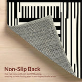 Ultra Soft Area Rug, Non Slip, Stain Resistant, Washable Area Rugs for Living Room, Bedroom, Striking Zebra Style Rug(Black)