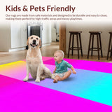 Ultra Soft Area Rug, Non Slip, Stain Resistant, Washable Area Rugs for Living Room, Bedroom, Whimsical Rainbow Fluffy Aesthetic(Pink)
