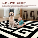 Ultra Soft Area Rug, Non Slip, Stain Resistant, Washable Area Rugs for Living Room, Bedroom, Sleek Arch Knot Modernist Inspiration(Black)