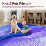 Ultra Soft Area Rug, Non Slip, Stain Resistant, Washable Area Rugs for Living Room, Bedroom, Gradient Playful Color Fusion(Purple)