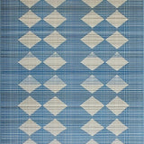 Ultra Soft Area Rug, Non Slip, Stain Resistant, Washable Area Rugs for Living Room, Bedroom, Stylish Distressed Artful Texture(Blue)