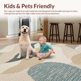 Ultra Soft Area Rug, Non Slip, Stain Resistant, Washable Area Rugs for Living Room, Bedroom, Soft Patterned Texas-Inspired Home Office Carpet(Beige)
