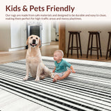 Ultra Soft Area Rug, Non Slip, Stain Resistant, Washable Area Rugs for Living Room, Bedroom, Ebony & Snow Woven Rug, Striped Accent Carpet, Geometric Floor Covering(Black)