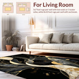 Ultra Soft Area Rug, Non Slip, Stain Resistant, Washable Area Rugs for Living Room, Bedroom, Unique Abstract Artistic Flair(Black)