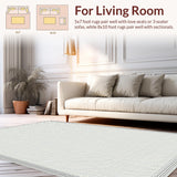 Ultra Soft Area Rug, Non Slip, Stain Resistant, Washable Area Rugs for Living Room, Bedroom, Sleek Minimalist Fun Bath Rug(Gray)