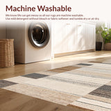Ultra Soft Area Rug, Non Slip, Stain Resistant, Washable Area Rugs for Living Room, Bedroom, Chic Layered Design with Fringe(Beige)