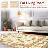 Elegant Beige Area(Beige)