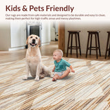 Ultra Soft Area Rug, Non Slip, Stain Resistant, Washable Area Rugs for Living Room, Bedroom, Modern Rustic Textural Appeal(Beige)
