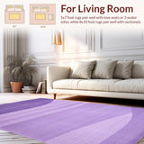 Ultra Soft Area Rug, Non Slip, Stain Resistant, Washable Area Rugs for Living Room, Bedroom, Elegant Shaggy Contemporary Look(Purple)