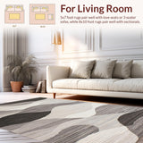 Ultra Soft Area Rug, Non Slip, Stain Resistant, Washable Area Rugs for Living Room, Bedroom, Sleek Modern Abstract Aesthetic(Gray)