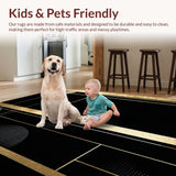Ultra Soft Area Rug, Non Slip, Stain Resistant, Washable Area Rugs for Living Room, Bedroom, Sleek Contemporary Linear Design(Gold)