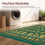 Ultra Soft Area Rug, Non Slip, Stain Resistant, Washable Area Rugs for Living Room, Bedroom, Boho Area(Green)