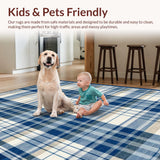 Classic Earth Toned Checker Design(Blue)