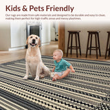 Ultra Soft Area Rug, Non Slip, Stain Resistant, Washable Area Rugs for Living Room, Bedroom, Durable Plastic Reversible Design for Deck and Yard Spaces(Black)