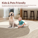 Ultra Soft Area Rug, Non Slip, Stain Resistant, Washable Area Rugs for Living Room, Bedroom, Modern Subtle Gradient Elegance(Beige)