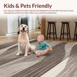 Ultra Soft Area Rug, Non Slip, Stain Resistant, Washable Area Rugs for Living Room, Bedroom, Contemporary Abstract Swirl Aesthetic(Gray)