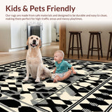Ultra Soft Area Rug, Non Slip, Stain Resistant, Washable Area Rugs for Living Room, Bedroom, Unique Abstract Sonoma in Black/Beige(Beige)