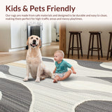 Ultra Soft Area Rug, Non Slip, Stain Resistant, Washable Area Rugs for Living Room, Bedroom, Stylish Area with Contemporary Beige and Slate Swirl Motif Design(Gray)