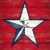 Ultra Soft Area Rug, Non Slip, Stain Resistant, Washable Area Rugs for Living Room, Bedroom, Rustic Vintage Star Emblem(Red)