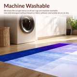 Ultra Soft Area Rug, Non Slip, Stain Resistant, Washable Area Rugs for Living Room, Bedroom, Elegant Ombre Flowing Motif(Blue)