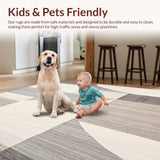 Ultra Soft Area Rug, Non Slip, Stain Resistant, Washable Area Rugs for Living Room, Bedroom, Modern Abstract Beige Area Geometric Slate Design(Gray)