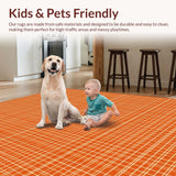 Ultra Soft Area Rug, Non Slip, Stain Resistant, Washable Area Rugs for Living Room, Bedroom, Sophisticated Neutral Shag Style(Orange)